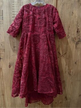 Dainty Jewells Deep Red Embroidered Formal Dress